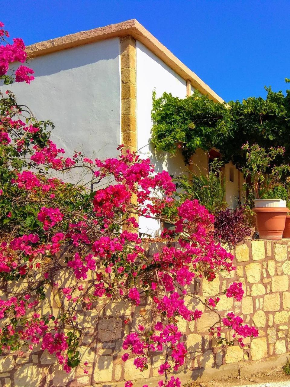 Falasarna Lardas House Gramvousá Dış mekan fotoğraf